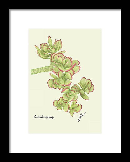 Jade black framed fine art print, by Fiurdelin.