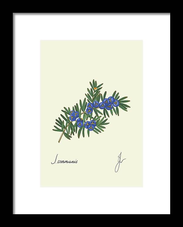 Juniper dark frame print