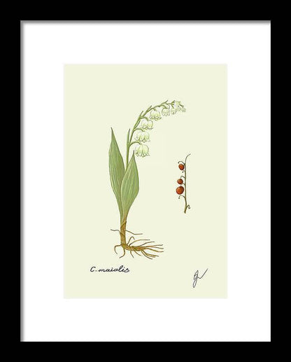 Convallaria fine art black framed print