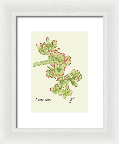 Jade white border fine art print