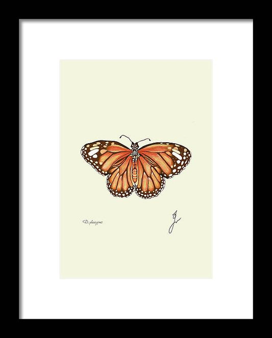Monarch black framed print, by Fiurdelin.