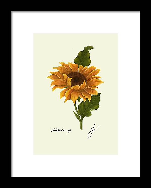 sunflower black frame print